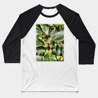 Bay Leaf Tree Blossom Baseball T-Shirt